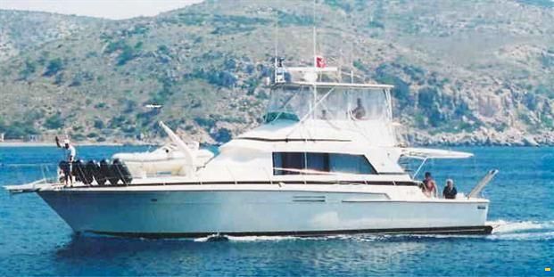 Bertram 54
