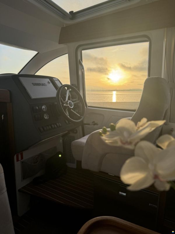 Nimbus 335 Coupé / Gelegenheit