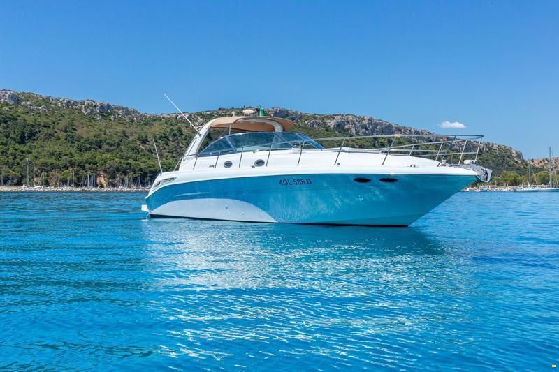 Sea Ray 455