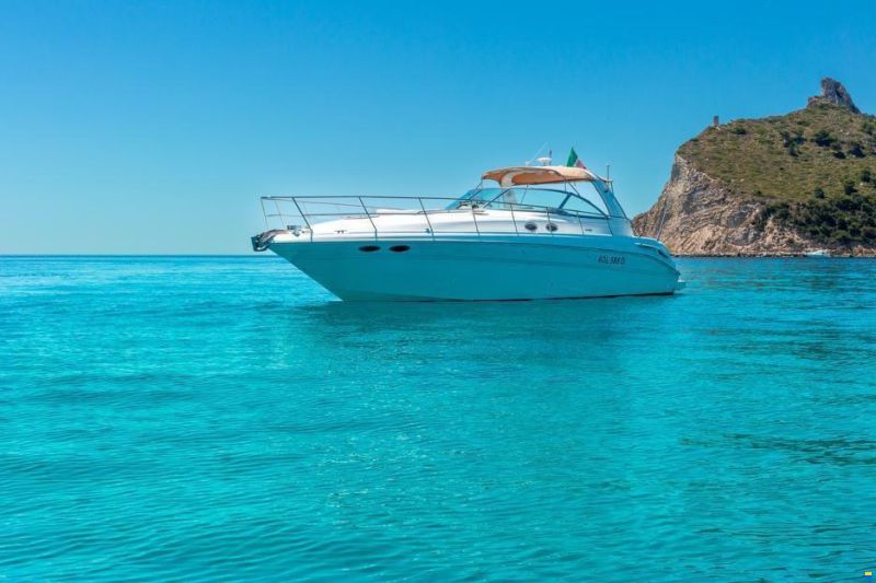 Sea Ray 455