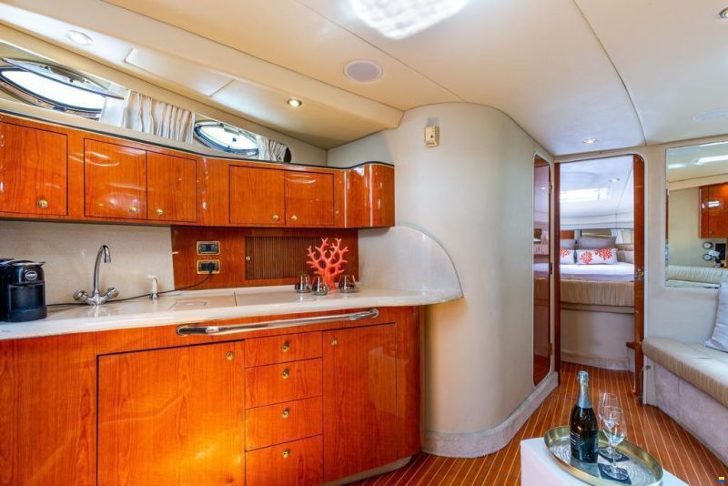 Sea Ray 455