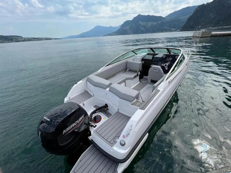 Flipper 650 Day Cruiser