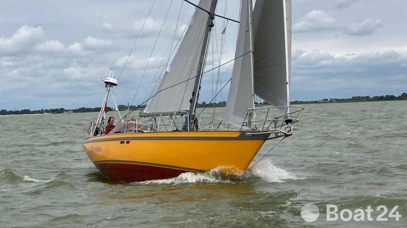 Tradewind 35