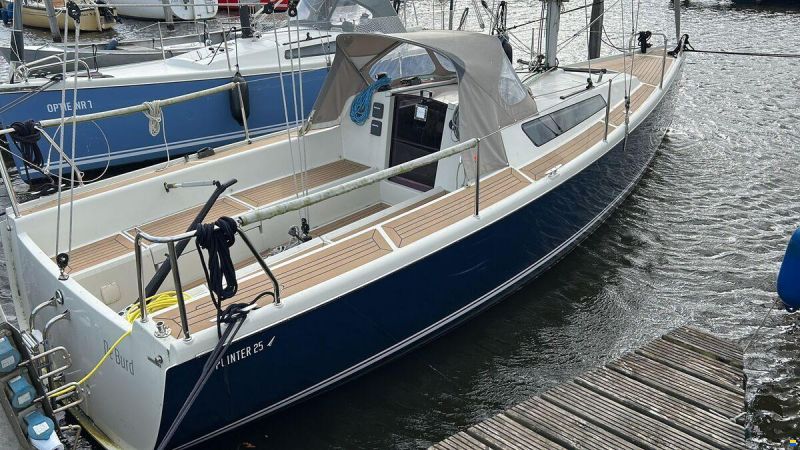 Pointer 25