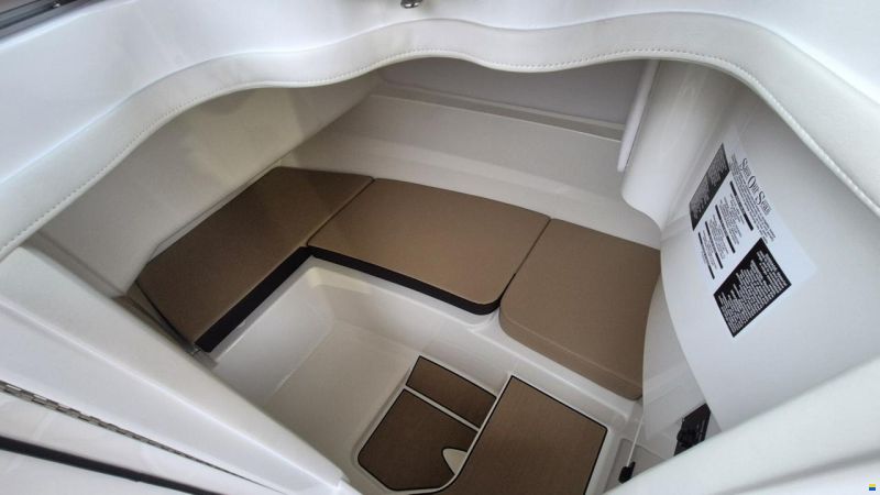 Sea Ray SDX 230 Europe