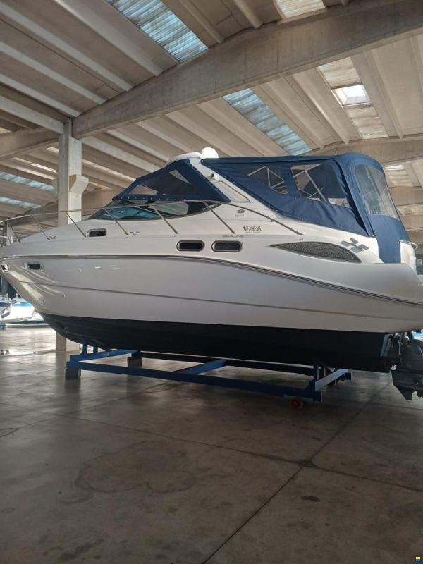 Sealine S41