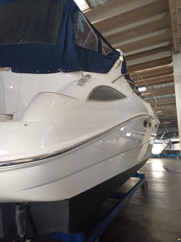 Sealine S41