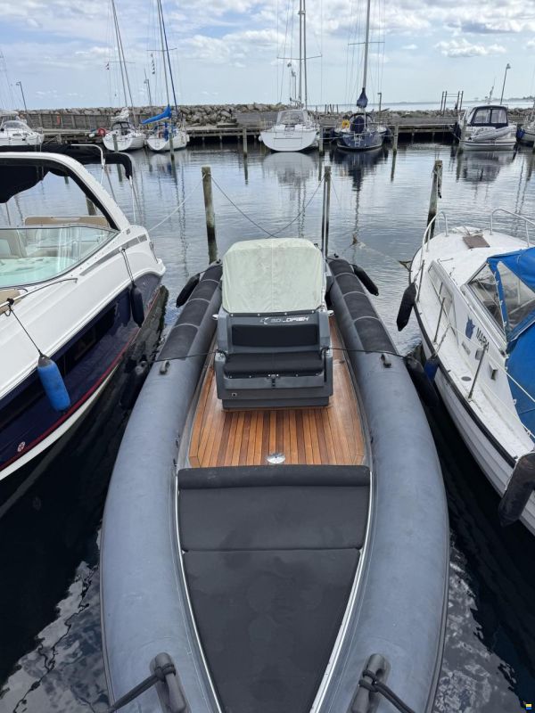 Goldfish RIB 29 Tender