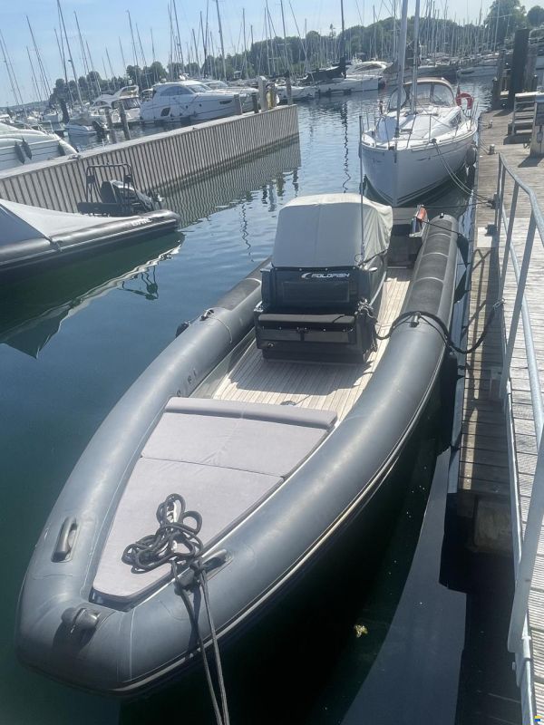 Goldfish RIB 29 Tender