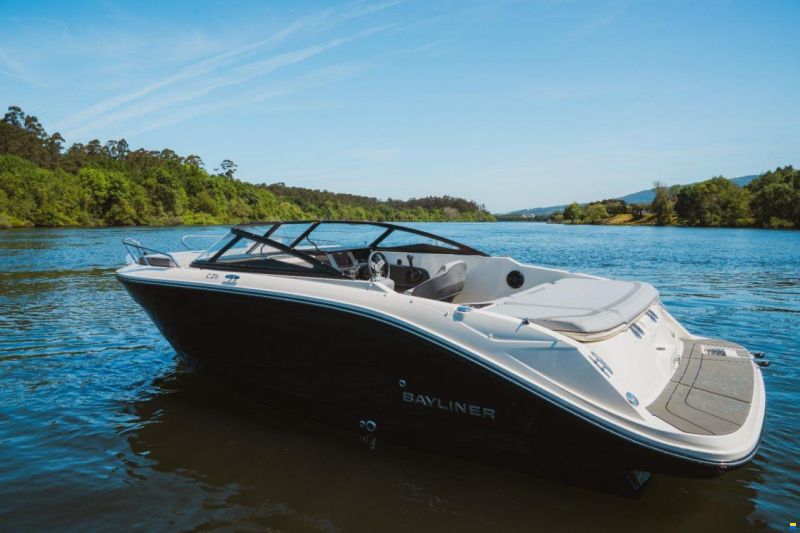 Bayliner C21 INBOARD
