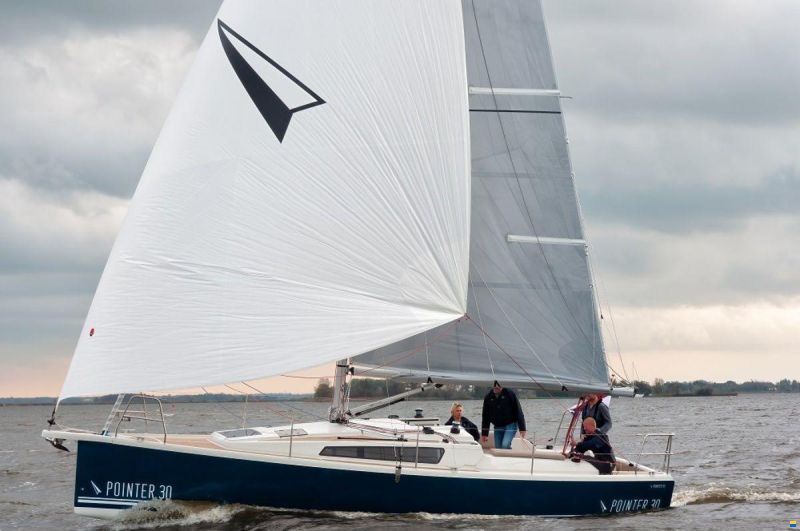 Pointer 30