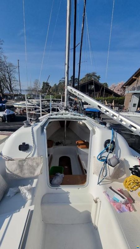 Archambault Surprise