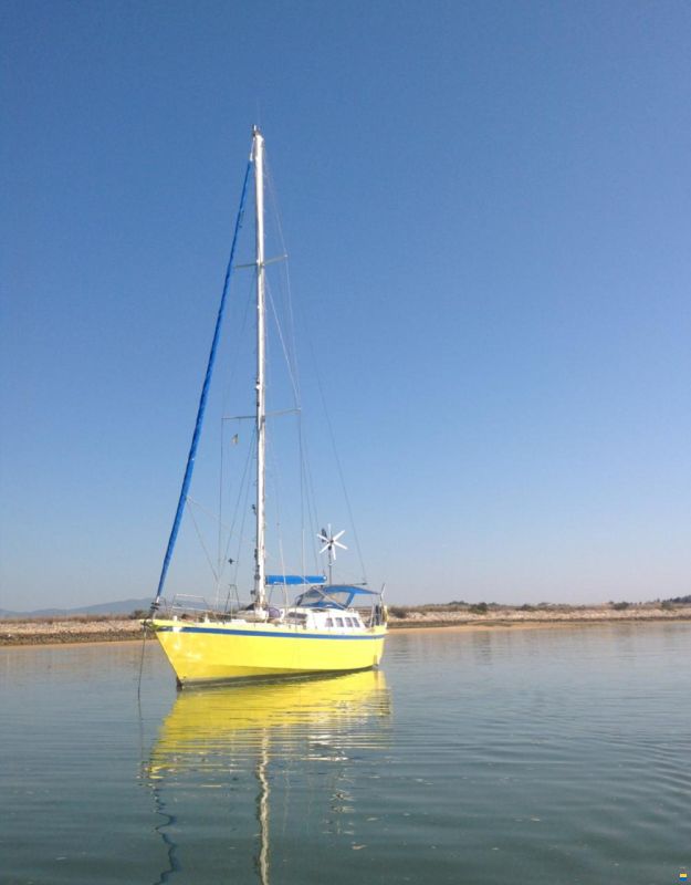 Prometa Globe Flotteur 37