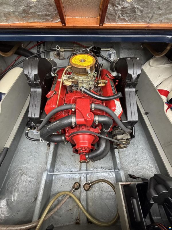 Ilver Ecstasy Junior 22