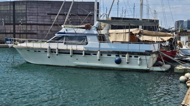 Cytra Senator 50