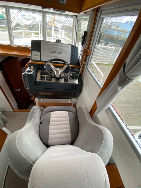 Sargo 31