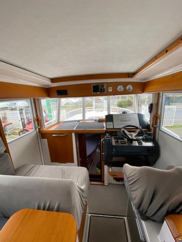 Sargo 31