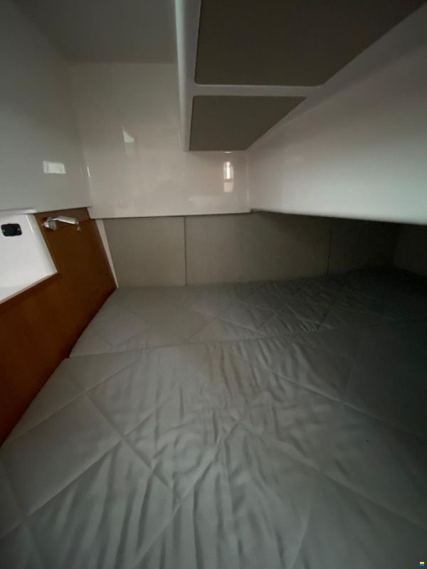 Sargo 31
