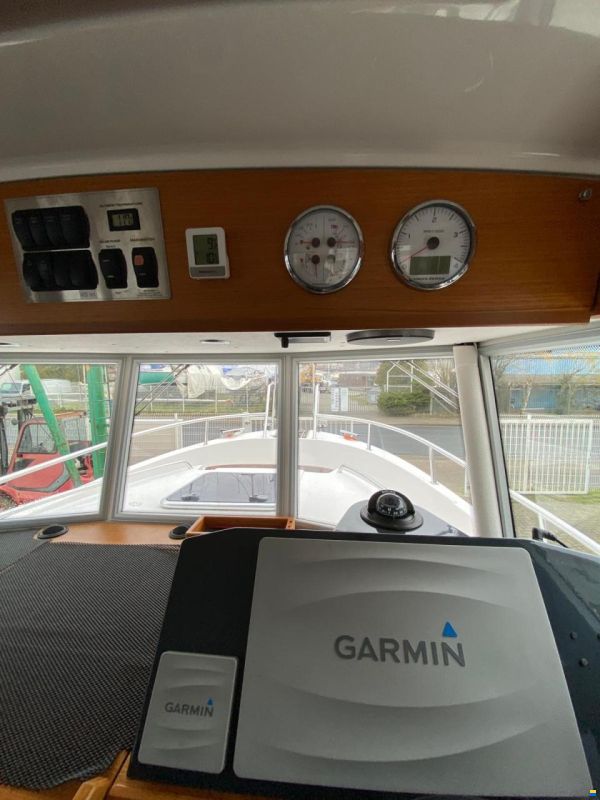 Sargo 31