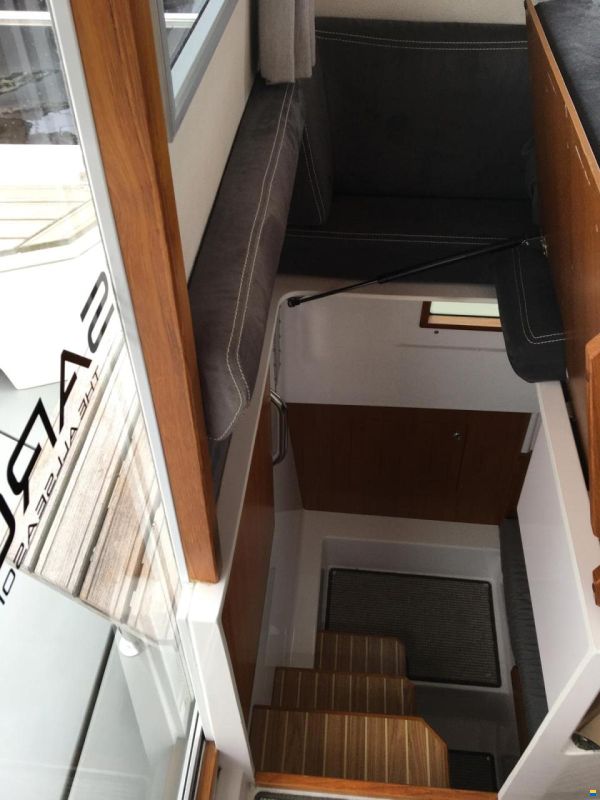 Sargo 31