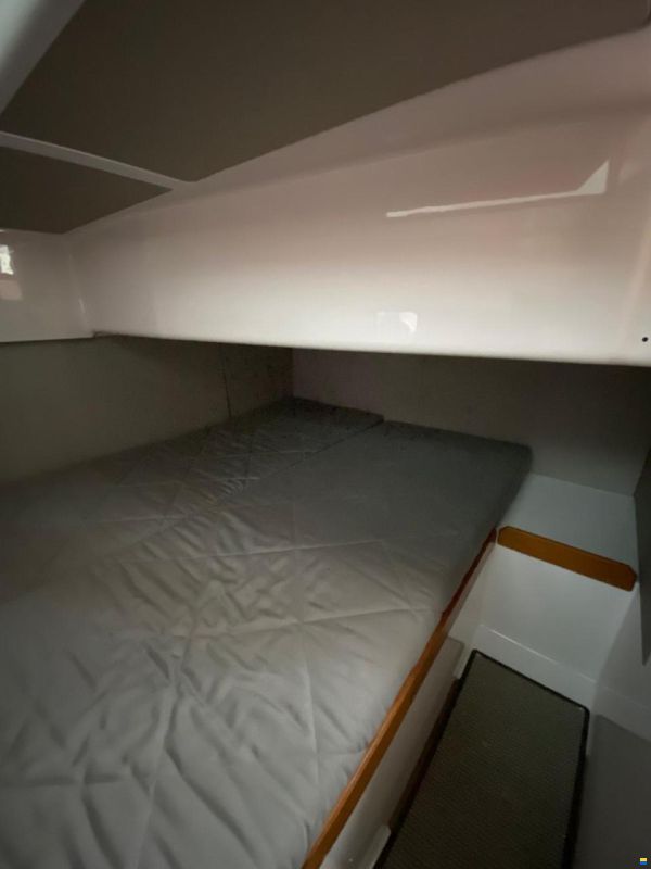 Sargo 31