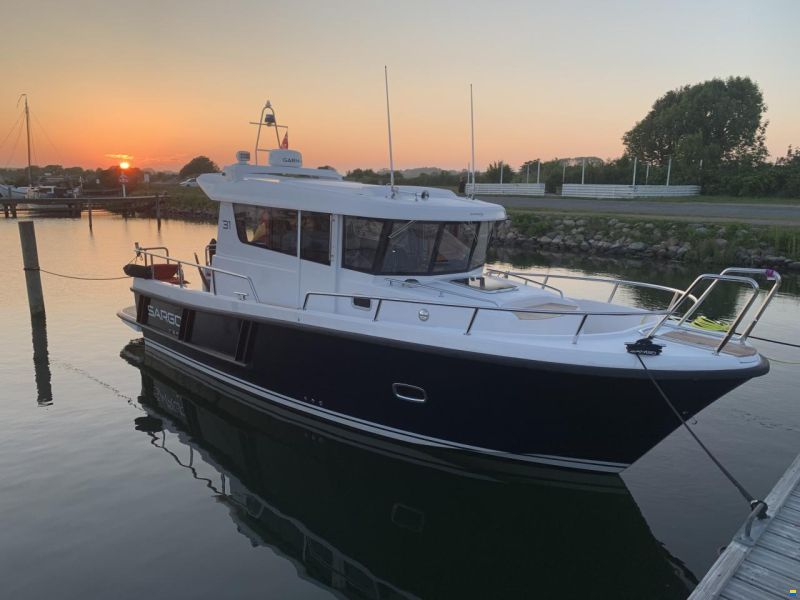 Sargo 31