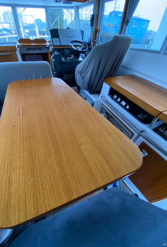 Sargo 31