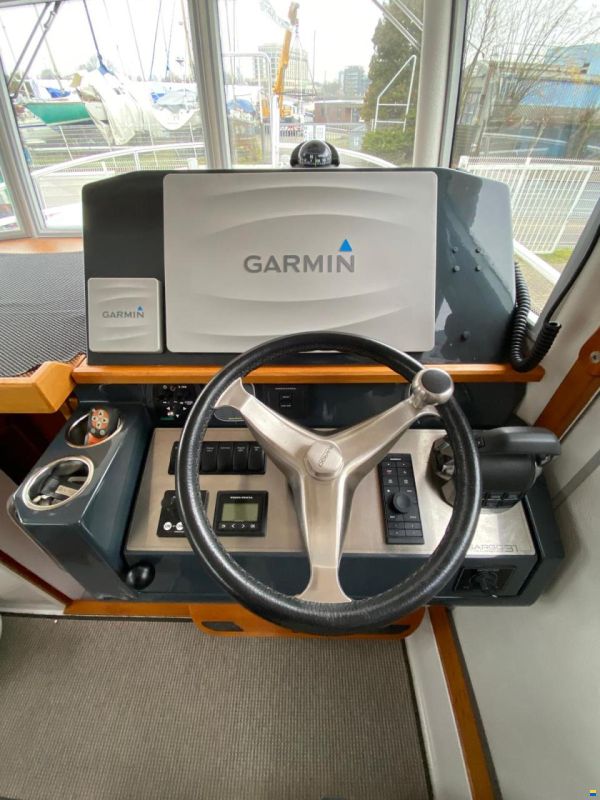 Sargo 31