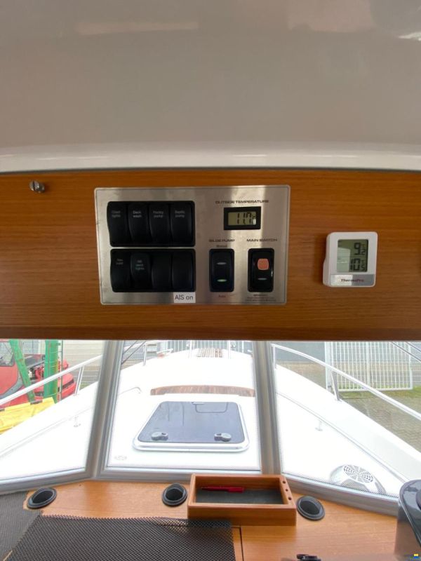 Sargo 31