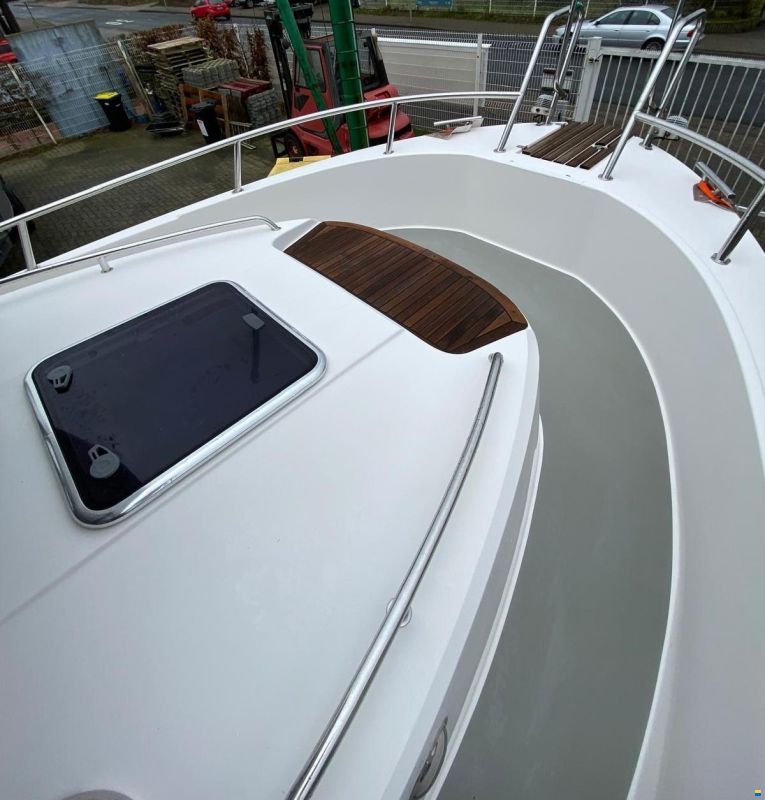 Sargo 31