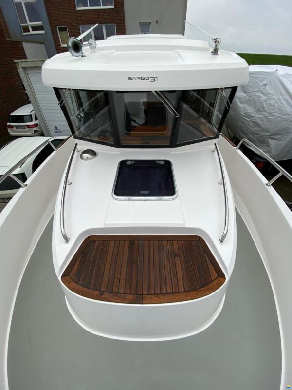 Sargo 31