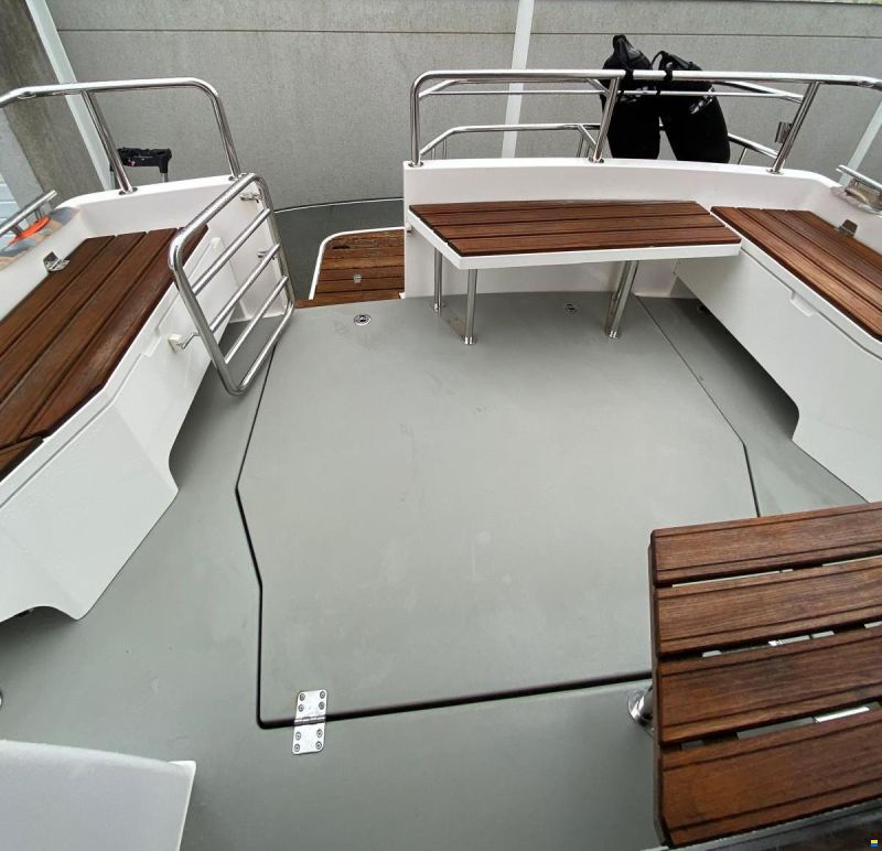 Sargo 31