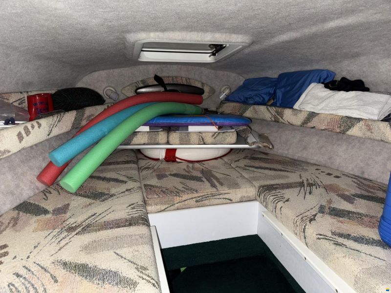 Campion Allante 565 SC