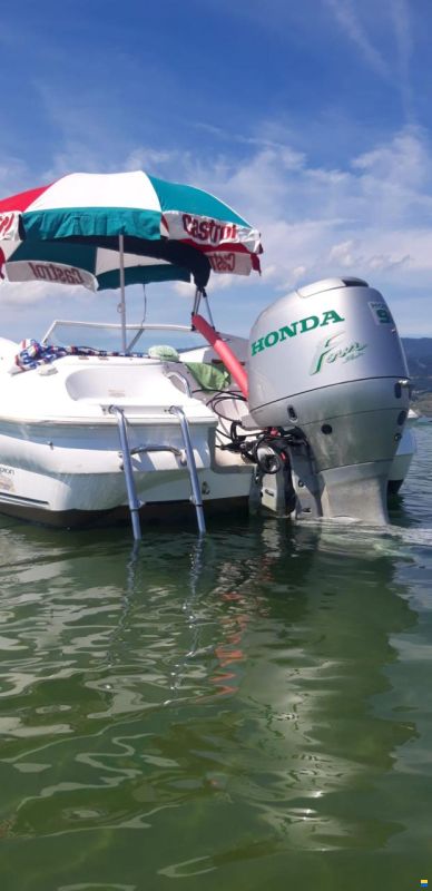 Campion Allante 565 SC