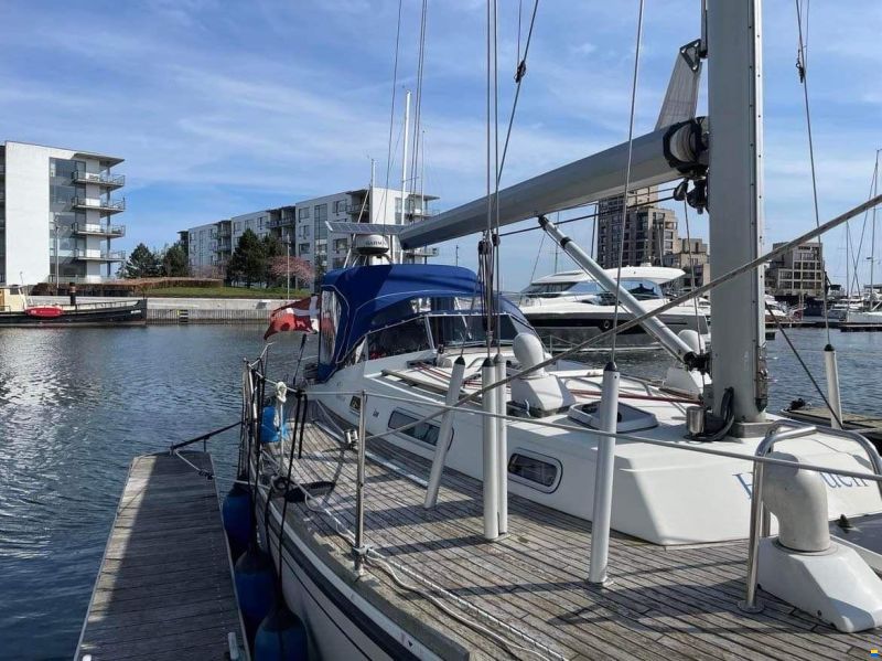 LM Mermaid 380