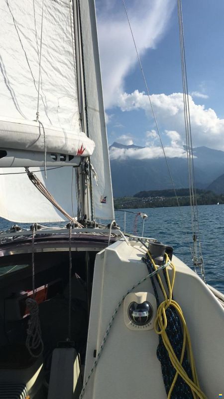 Archambault Surprise