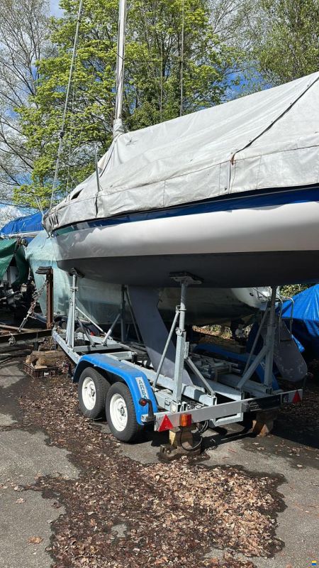 Archambault Surprise