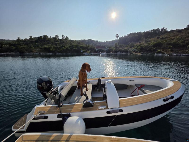 AST Yachts & Composites AST Tender Coast 340