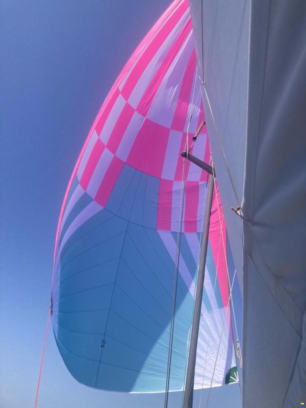 Dufour 45e Performance