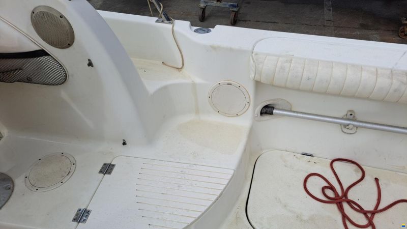 Bayliner Trophy