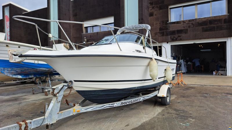 Bayliner Trophy