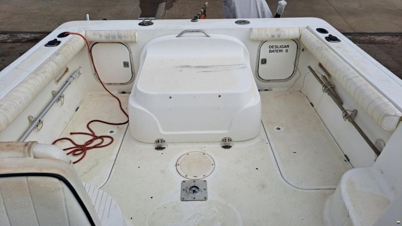Bayliner Trophy