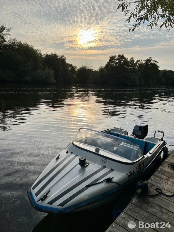 Hellwig Triton Junior