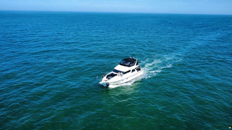 Neptunus 138 Fly