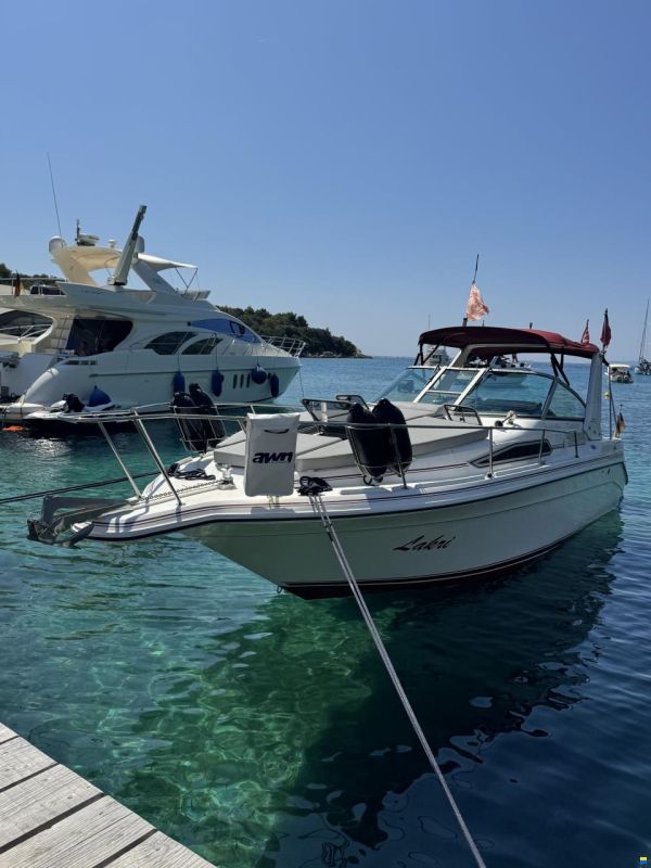 Sea Ray Sundancer 270/290