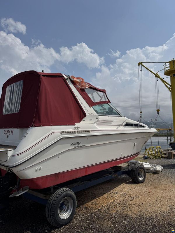 Sea Ray Sundancer 270/290