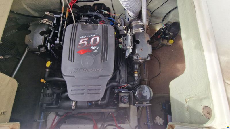 Campion Allante 645 SC