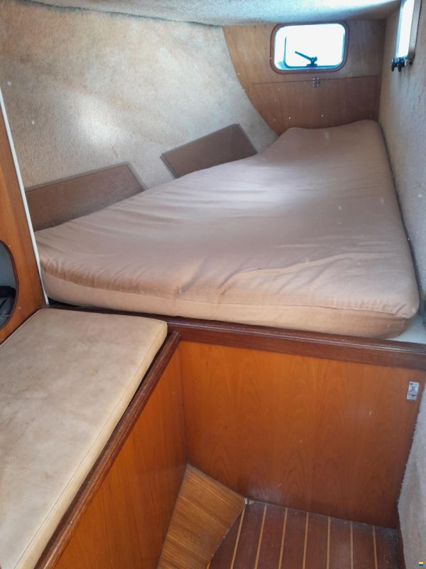 Archimede 36
