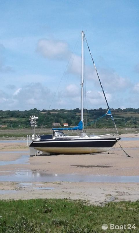 DERIVEUR INTEGRAL ARCHIMEDE 36