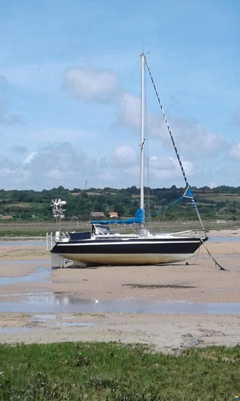Archimede 36